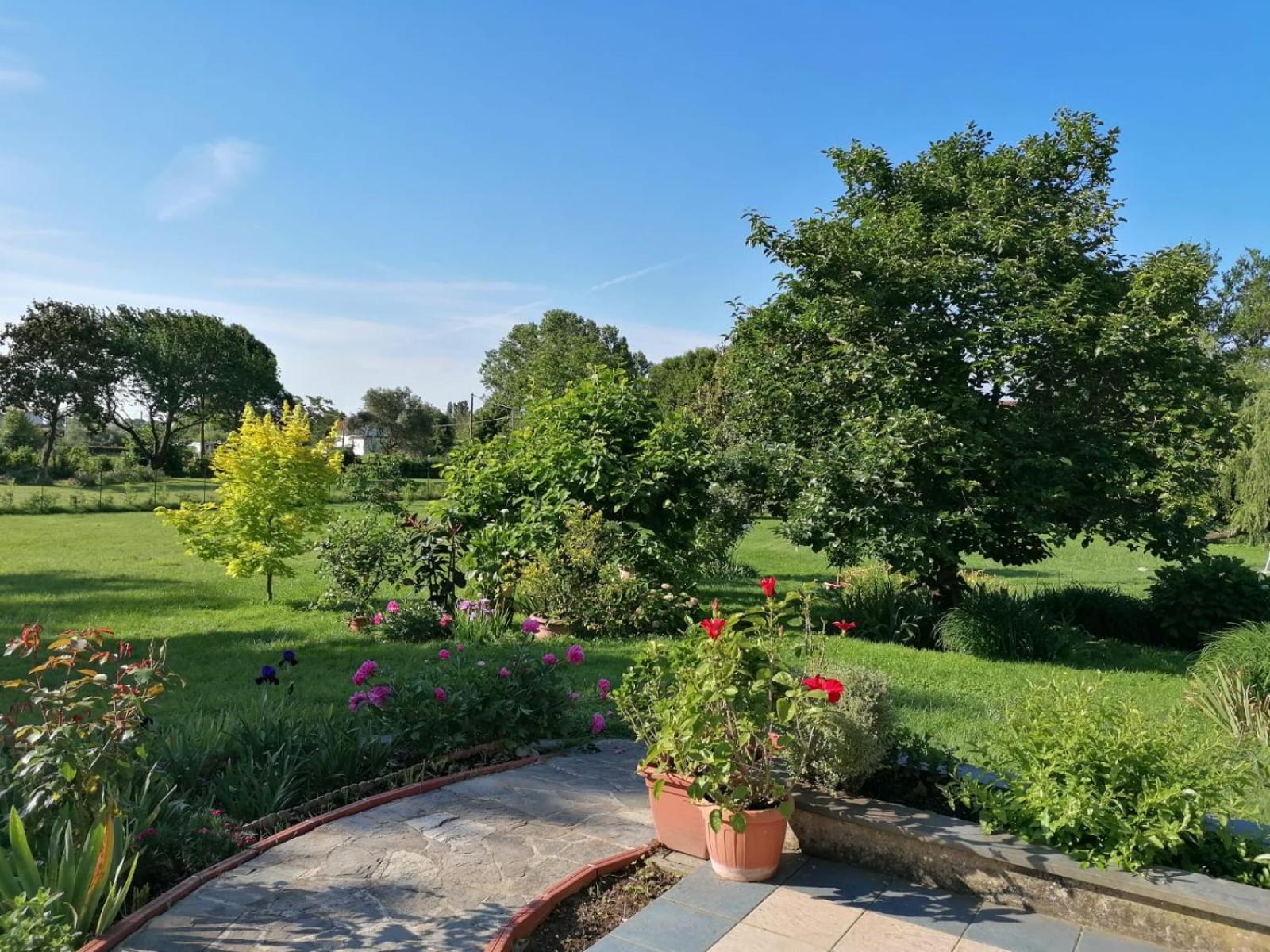 Versilia - Pietrasanta - Le Colmate Guesthouse Tonfano Zewnętrze zdjęcie