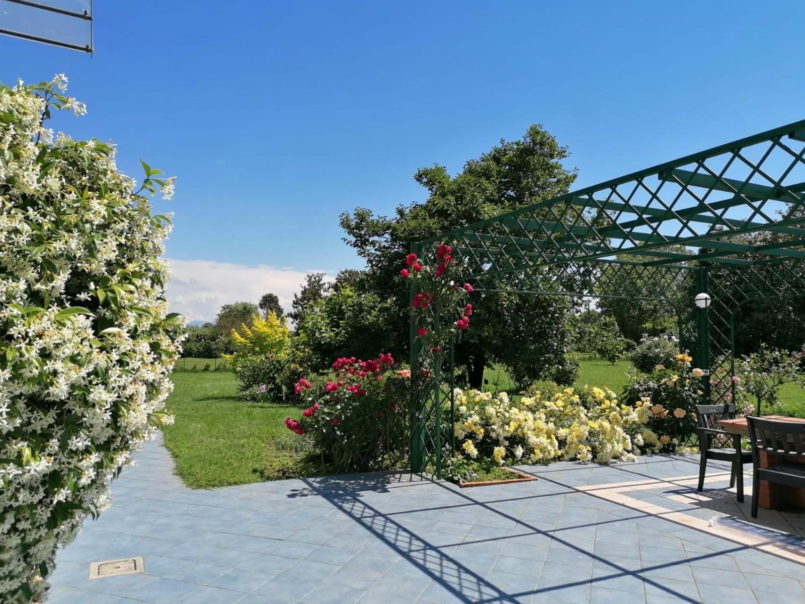 Versilia - Pietrasanta - Le Colmate Guesthouse Tonfano Zewnętrze zdjęcie