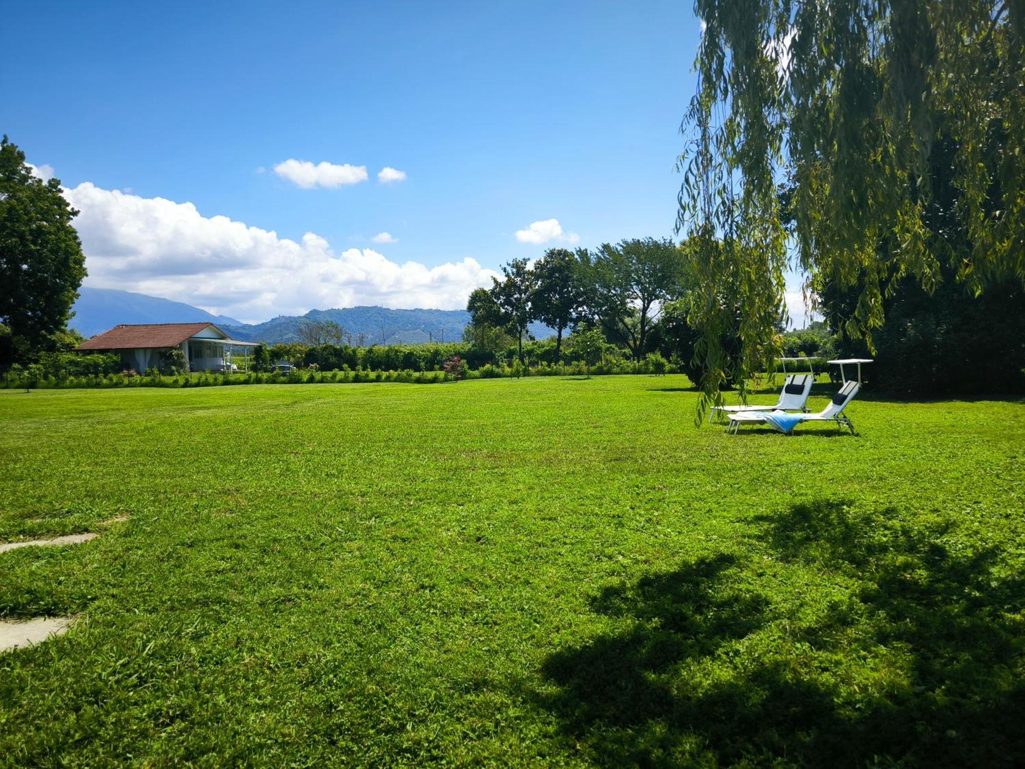 Versilia - Pietrasanta - Le Colmate Guesthouse Tonfano Zewnętrze zdjęcie