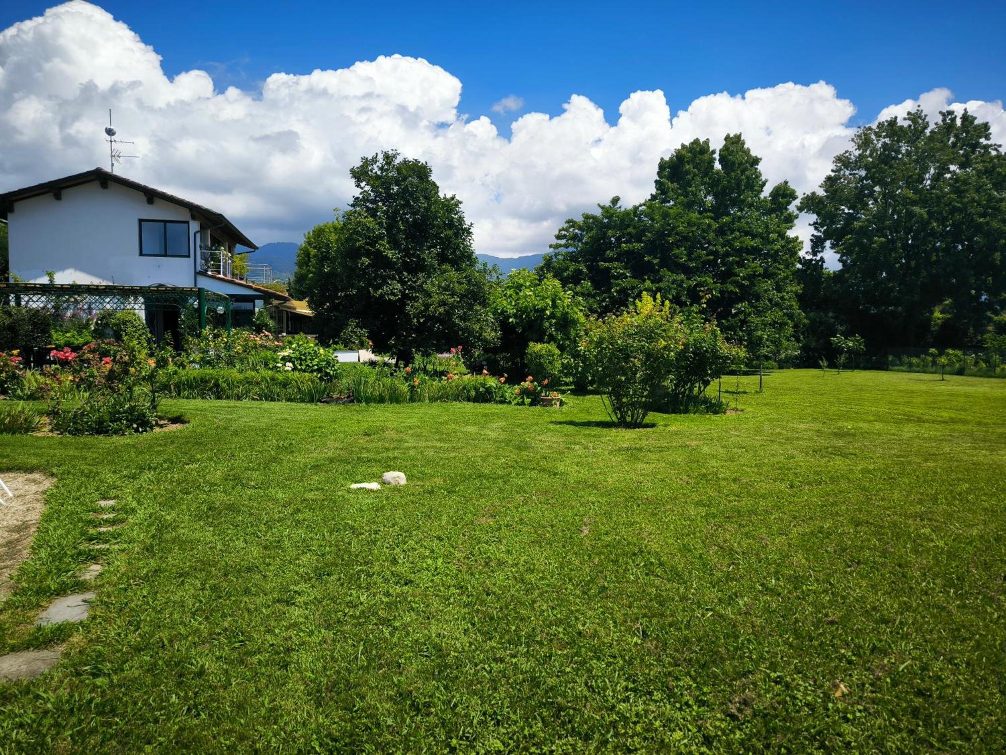 Versilia - Pietrasanta - Le Colmate Guesthouse Tonfano Zewnętrze zdjęcie