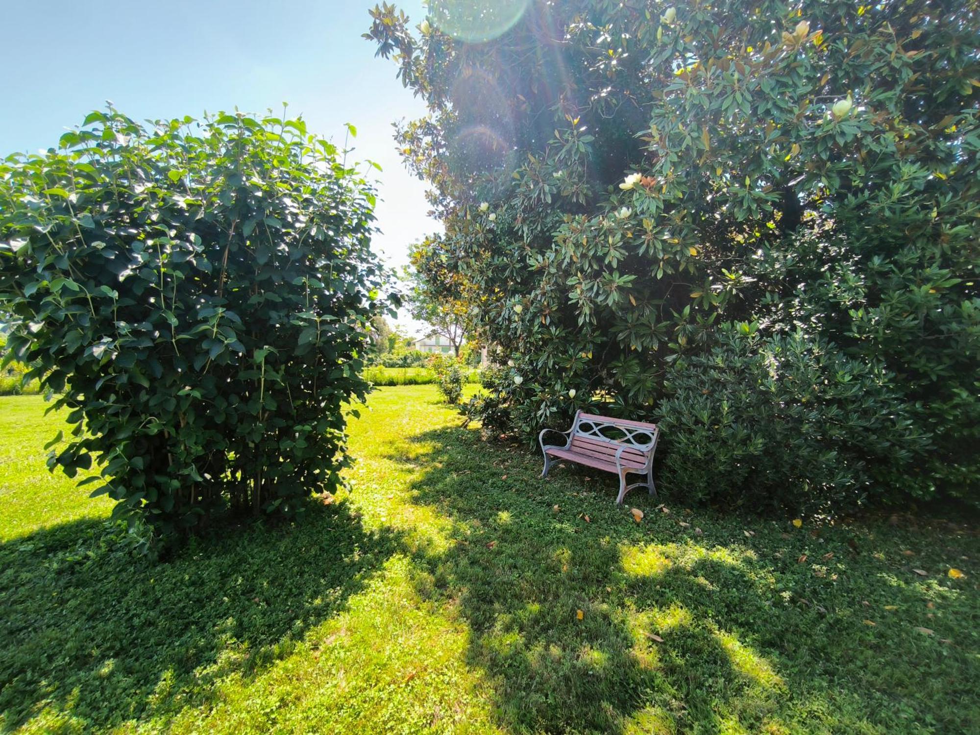 Versilia - Pietrasanta - Le Colmate Guesthouse Tonfano Zewnętrze zdjęcie