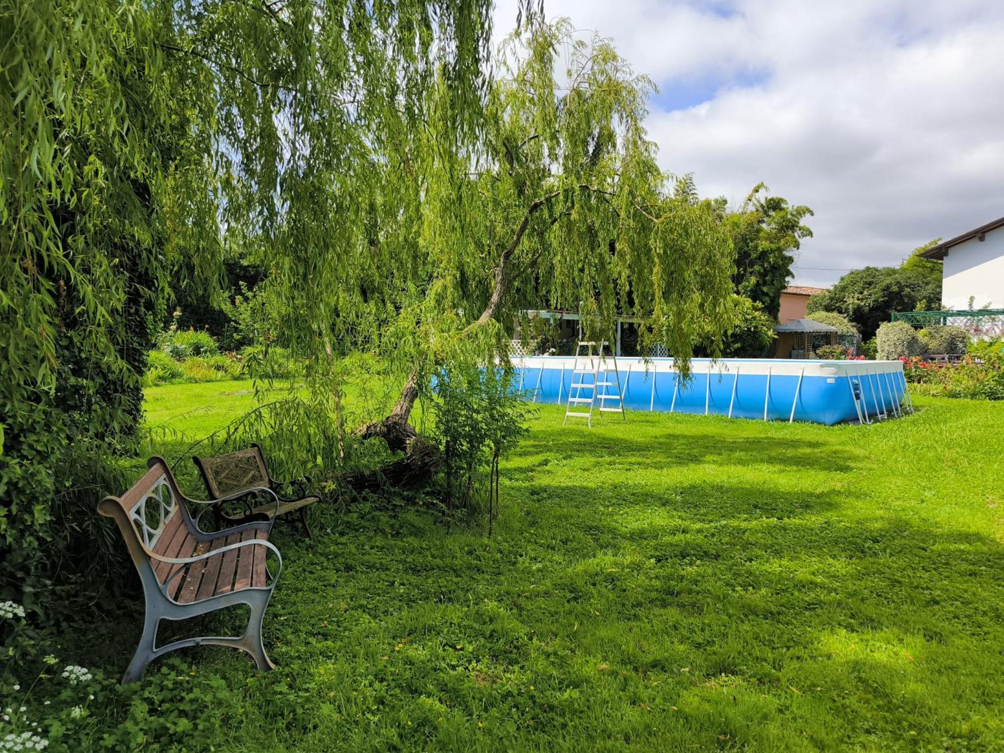Versilia - Pietrasanta - Le Colmate Guesthouse Tonfano Zewnętrze zdjęcie