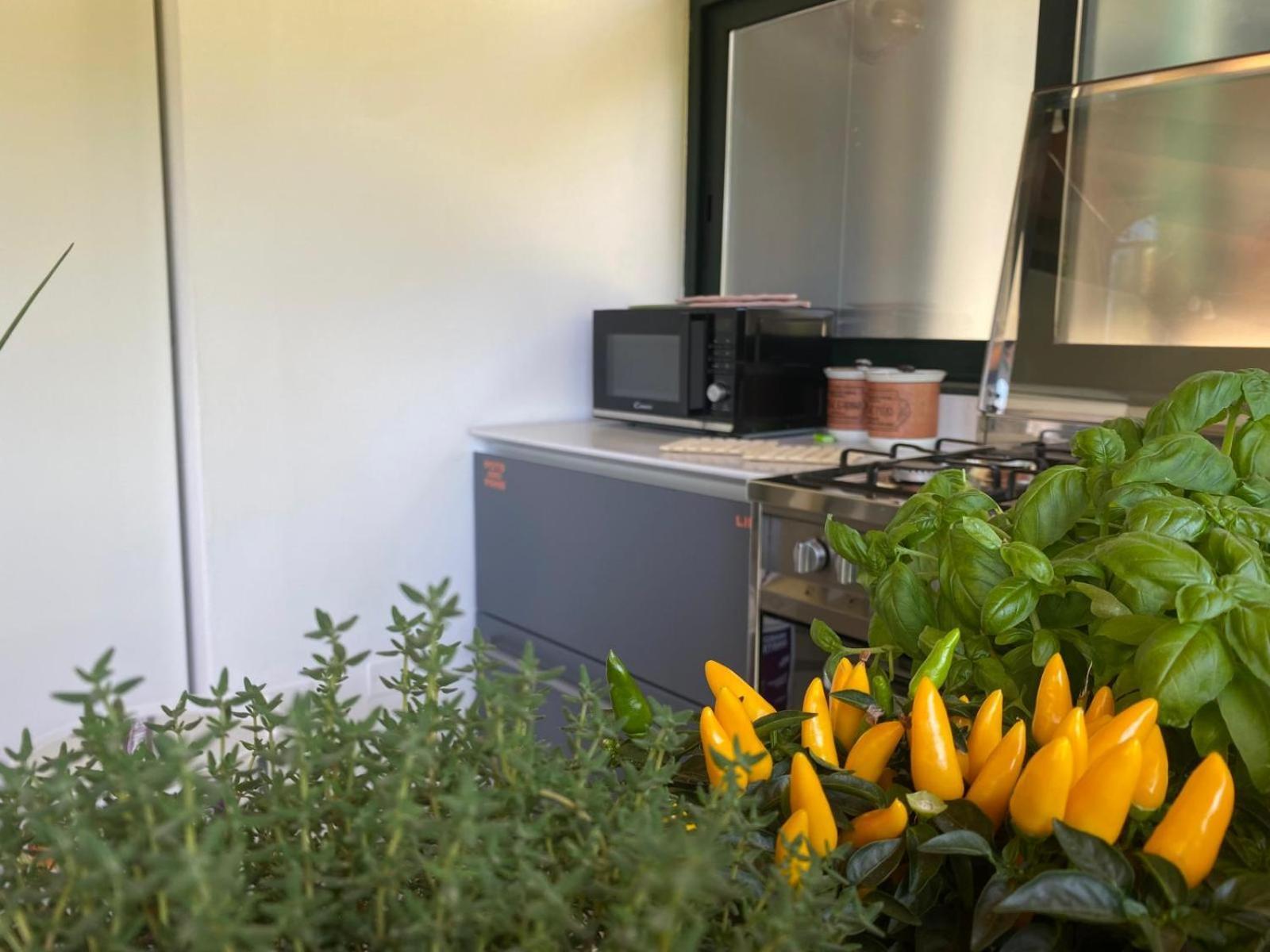 Versilia - Pietrasanta - Le Colmate Guesthouse Tonfano Zewnętrze zdjęcie